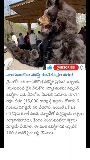 ఎలుగుబంటిలా నటిస్తే ₹14 లక్షల జీతం