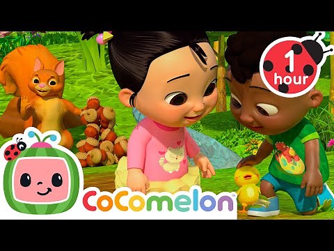 Cody's Animal Nature Song 🦆 CoComelon Cody Time Nursery Rhymes and Kids Songs | After School Club