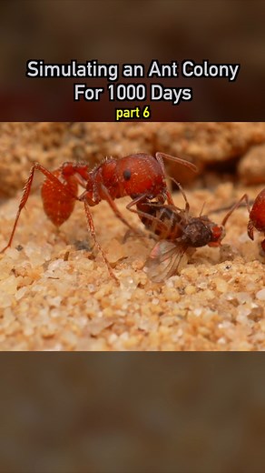 602K views · 6.2K reactions | Simulating an Ant Colony For 1000 Days pt 6  #ecosystem #wildlife #nature #plants #earth #pets #petsofinstagram | Dr. Plants | Facebook