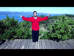 UPDATED: Reveiew Modules 01-05 Tai Chi 5 Minutes a Day - One Camera and Oriental Music