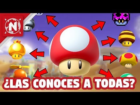 ALL the Species of SUPER MUSHROOMS that EXIST