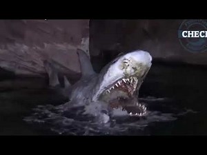 【寄せ集め】水中人工物恐怖症まとめ 色付き無編集版