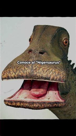 Nigersaurus La boca más extraña de la prehistoria #dinosaurio #animalesprehistóricos