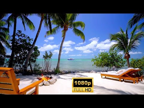 Beaches | Drone | Nature | Sea View | Free HD Videos - No Copyright footage