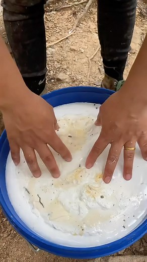 Inspirgreen | Pure rubber tree extraction 🌳 Save this... something big is coming 👀🌍 → @inspirgreen Credit: 我是小丽呀（橱窗有好物） | Instagram