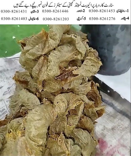 "Cold Press Oil Machine | Start Profitable Oil Extraction Business"