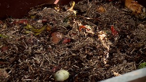 Composting in a Wooden Bin | Premium Stock Video Footage