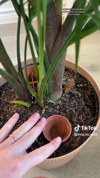 The Ultimate Guide to Watering Plants in Terracotta Pots