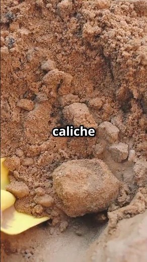 Forensic Gold Geology (S1 EP11) Caliche – Natural Hardpan Gold Traps #calichelayer #falsebedrock