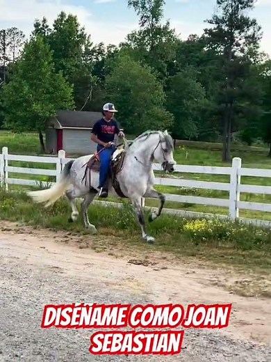 Diséñame, Joan Sebastian