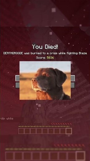 R.I.P. #minecraft #like #subscribe