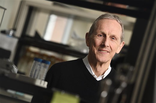 Decoding the blood-brain barrier