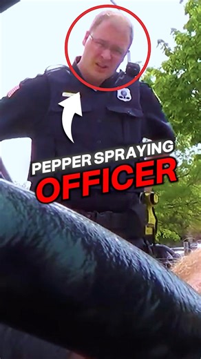Cop Pepper Sprays Innocent Driver