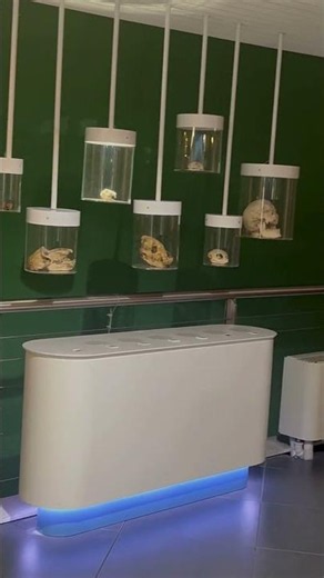 Istituti Scolastici F. De Anndrè - Piano estate - Città della scienza Napoli