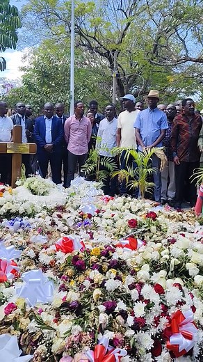 SignalCast News on Reels