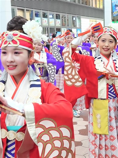 ◆ほにや 2025年度演舞 #よさこい春の舞 #土佐のおきゃく #よさこい祭り #高知よさこい #ほにや