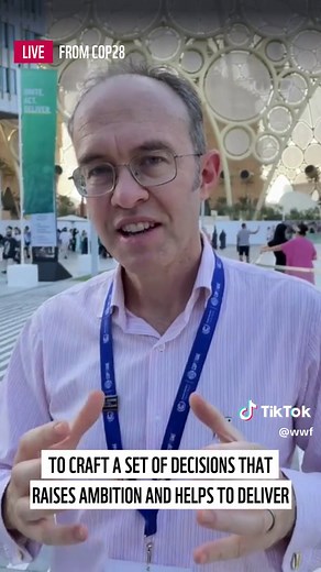 Are you following what's happening at this year's crucial climate change summit? WWF's Deputy Global Climate and Energy Lead, Stephen Cornelius, gives us an update from the ground. #cop28