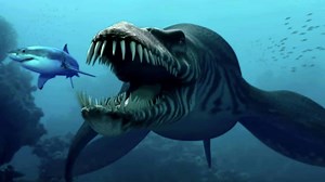 10 Mariana Trench Facts That Will Absolutely Blow Your Mind
