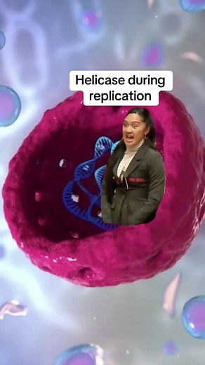 Understanding DNA Helicase in Replication Process