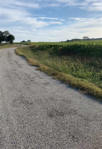 Beautiful Morning Run in Nature's Hills