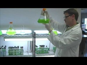 Biofuels from Algae Project - Brunswick Community College Center for Aquaculture & Biotechnology