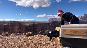 We hope everyone had a nice holiday season and you are soaring into 2026 like condor 1132. Happy New year! | Condor Cliffs