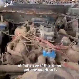 12M views · 179K reactions | This abandoned Mustang was left to rust in a cow field for 30 years. These guys decided to save it. This N That Garage | Supercar Blondie | Facebook