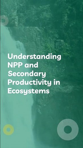 Understanding NPP and Secondary Productivity in Ecosystems