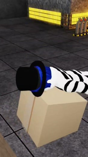 Average day at amazook