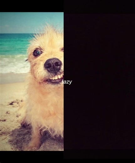 até o ropopo tem alguém e vc n🤣🫵#ropopopo #conteudocriativo #edit #cantadas