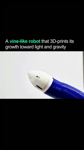 Artificial Intelligence • Tech on Instagram: "FiloBot is a soft robot that grows like a vine, guided by light and gravity to explore tight spaces.​ It 3D‑prints its own body on the fly using thermoplastic filament, extending millimeter by millimeter without wheels or legs.​ Perfect for search‑and‑rescue or inspections in rubble, this plant‑inspired tech from the Italian Institute of Technology (IIT) shows how nature’s growth tricks could redefine robotics. 🚨 Follow @aidisruptor for the latest i