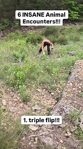that triple flip was beyond insane 🤯 #snakes #animals #herping | snake