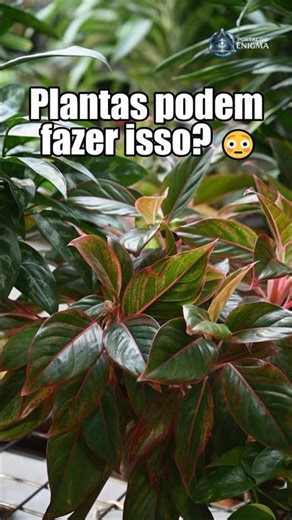 Amazing Facts about the Plant Kingdom 🌿😱 #facts #plants #shorts