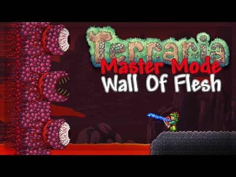How To Defeat Wall Of Flesh In Terraria Master Mode