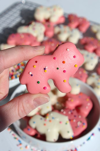 Homemade Circus Animal Cookies! 🎪 Find the full recipe on my website, https://thesqueakymixer.com/homemade-circus-animal-cookies/ 🤎 | The Squeaky Mixer