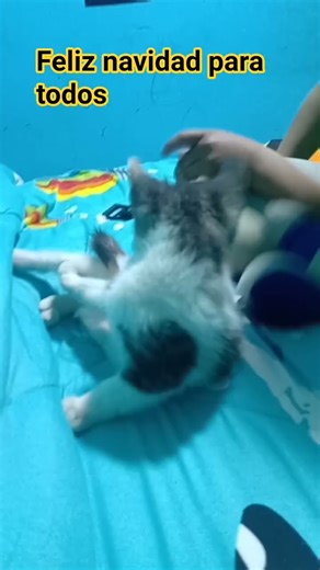 #music caca #song #remix diarrea