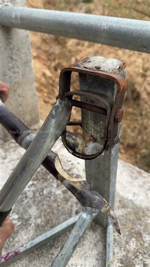 So this is how sugare buds are cut. Learned something new.