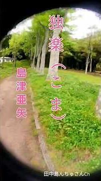 【独楽（こま）】,,島津亜矢 #昭和演歌