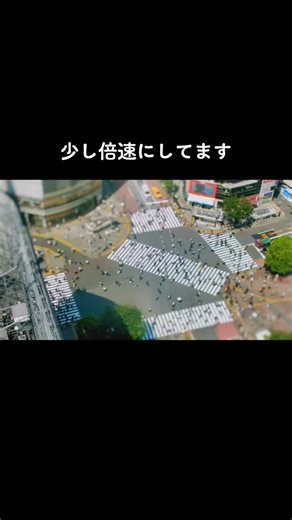 ライアー×ライアー Part.1 #ライアーライアー #高槻透 #松村北斗 #高槻湊 #野口みな #森七菜 #野口真樹 #堀田真由 #烏丸真士 #小関裕太 #桂孝昭 #七五三掛龍也 #高槻紀行 #竹井亮介 #高槻ひとみ #相田翔子 #川西純太 #板橋駿谷