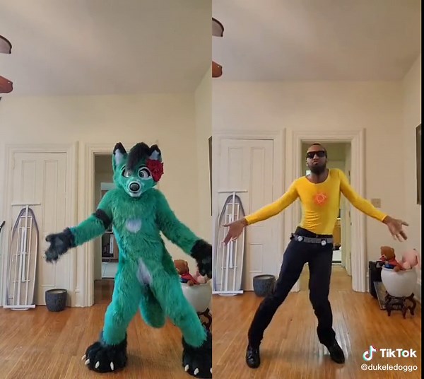 Fursuit Dance: Energetic Performance by a Skilled Furry Dancer