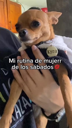 The woman_s routine of a chihuahuita___ | Kyra T