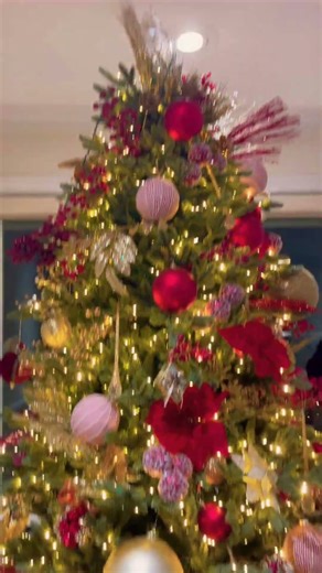 Merry Christmas 🎄🎁 🍾🎉❤️