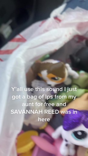 Im crying i didnt think i would ever get her let alone FREE #LPS#lpspopular#lpspackage#freelps#savannahreed#savvyreed#brooklynhayes#savvylpspopular#fyp#foryou#foryoupagee #lpspopularsavvy