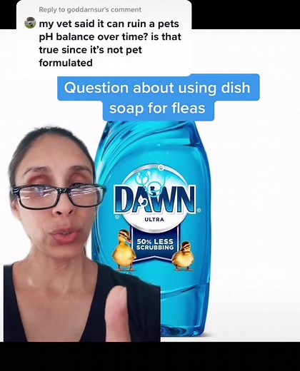 Effective Ways to Use Dawn Dish Soap for Fleas on Dogs