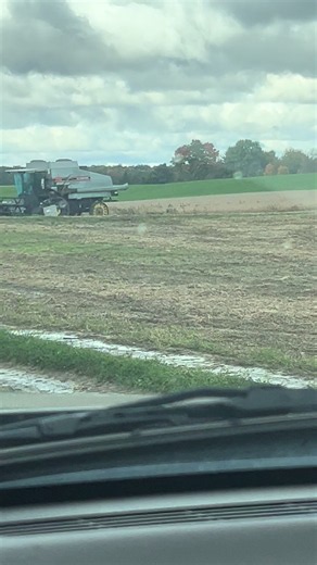 Amish & Mennonite Combine Harvest: Pilgrims Still at It
