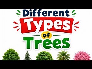 Different Types of Trees for Kids | learn tree names