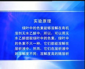 高中生物必修一实验