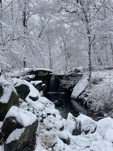 Dealing with Faceless and Nameless Accounts Online