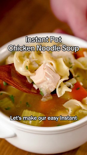 Instant Pot Chicken Noodle Soup Recipe
