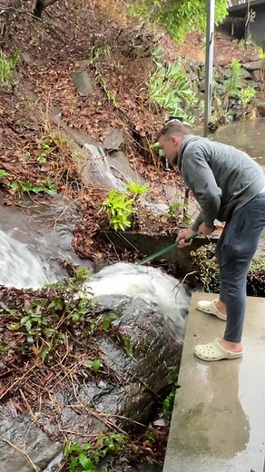 The calm before the storm 🌬️ #cyclonejasper #gay #couple #bl #mushroom #waterfall